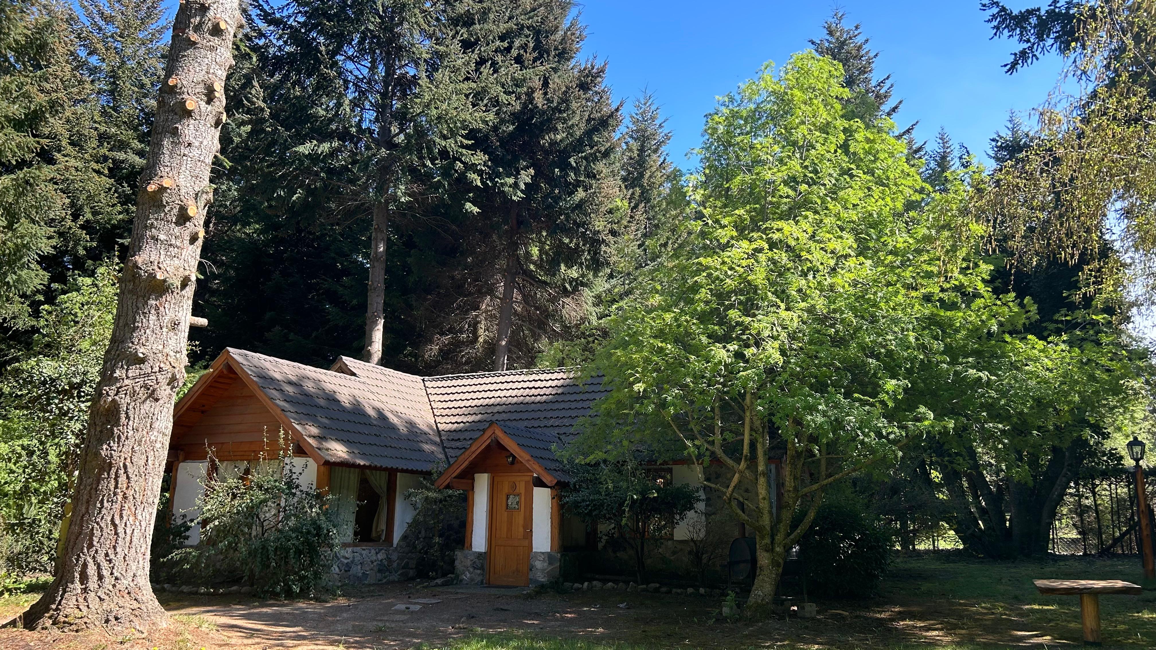 Casa Enebro, cabaña en el bosque en Puerto Manzano, Villa La Angostura